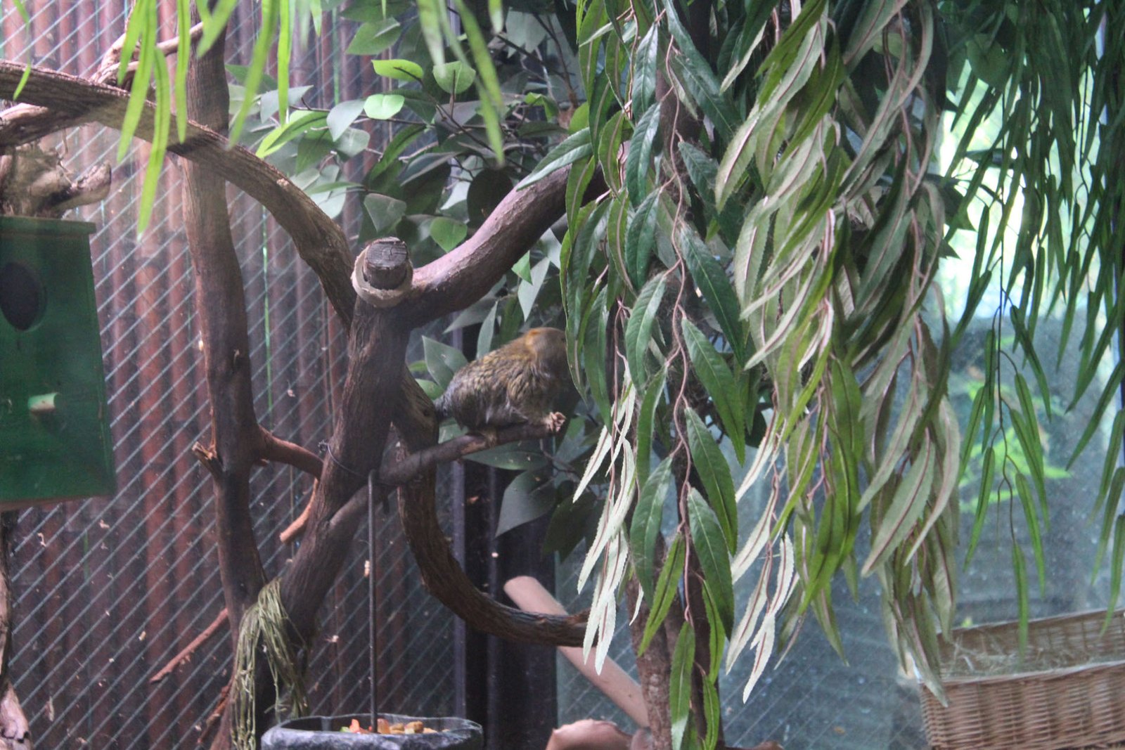 San Diego Zoo Part II 119